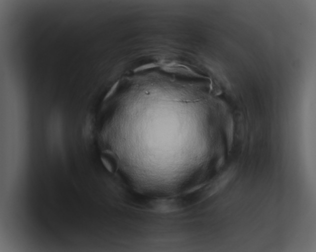 X0000101100273200807101454