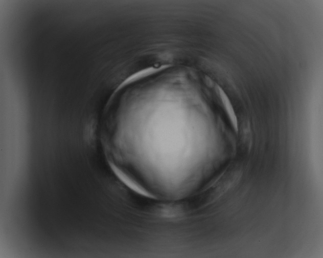 X0000101100275200807101454