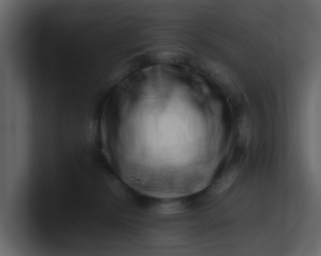 X0000101100278200807101454