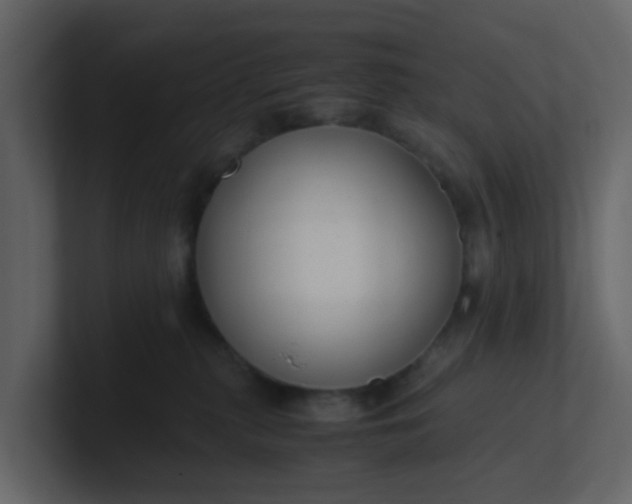 X0000101100279200807101454