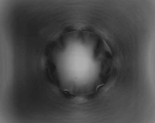 X0000101100280200807101454