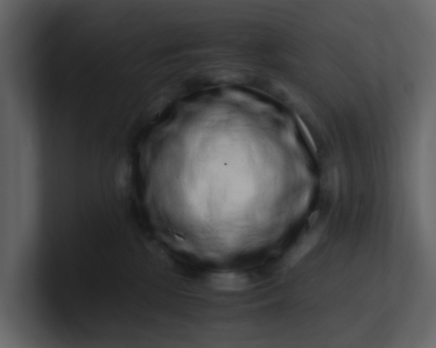 X0000101100281200807101454