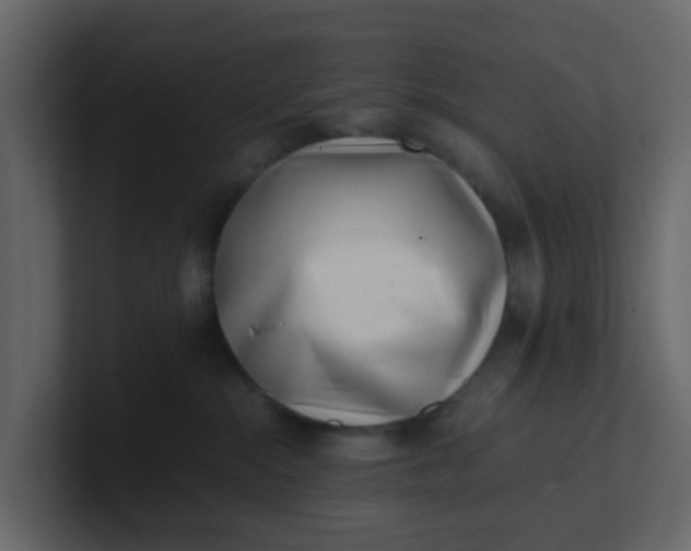 X0000101100284200807101454