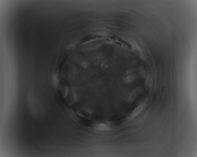 X0000101100285200807101454