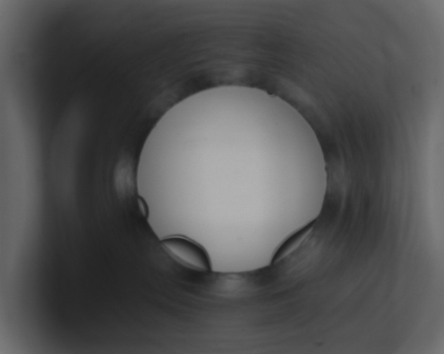 X0000101100287200807101454