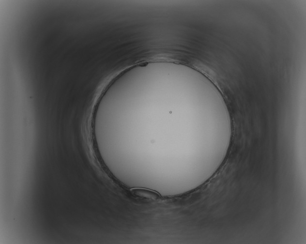 X0000101100289200807101453