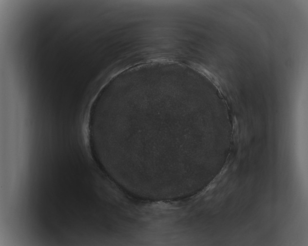 X0000101100290200807101453