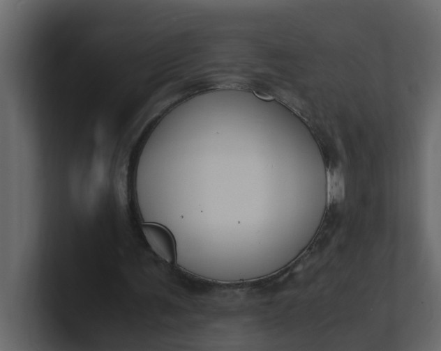 X0000101100291200807101453