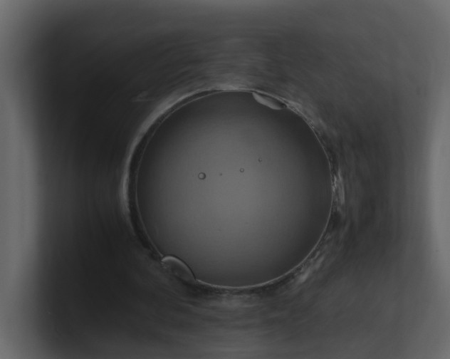 X0000101100292200807101453