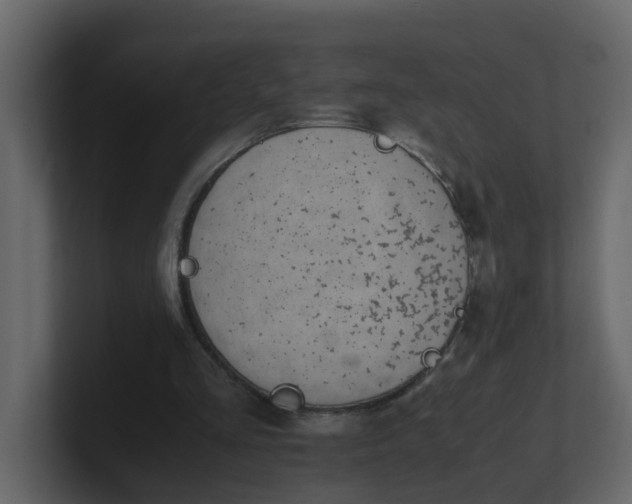 X0000101100293200807101453