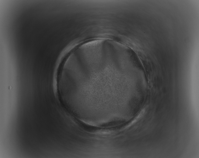 X0000101100294200807101453