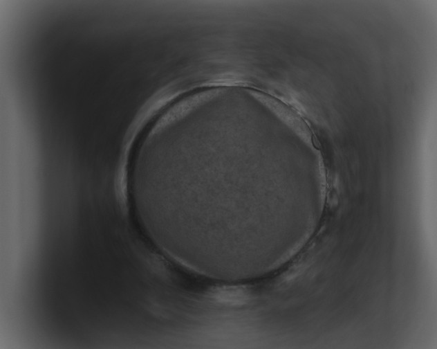 X0000101100296200807101453