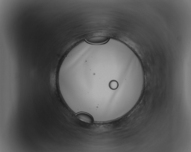 X0000101100297200807101453