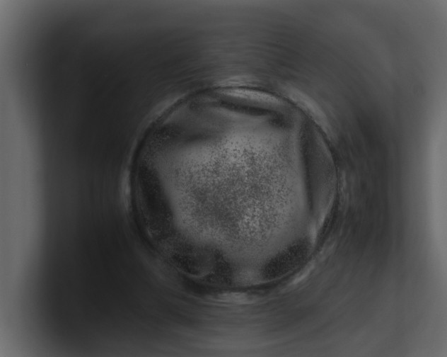 X0000101100298200807101453