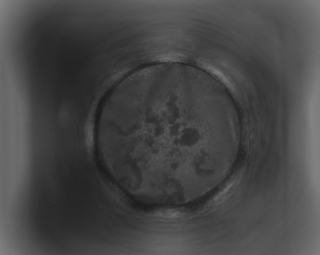 X0000101100299200807101453