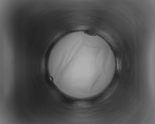 X0000101100300200807101453