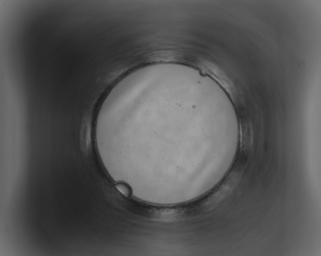 X0000101100301200807101453