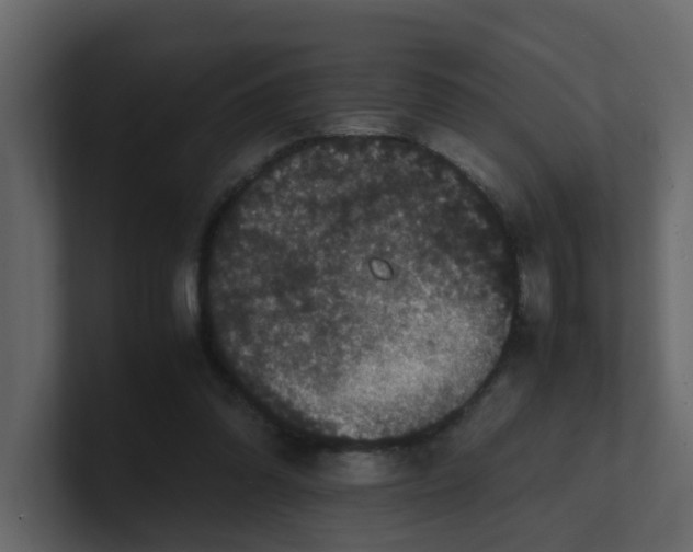 X0000101100302200807101453