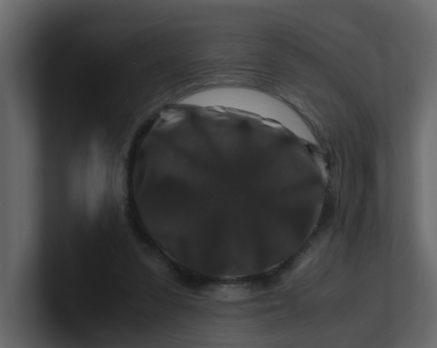 X0000101100303200807101453