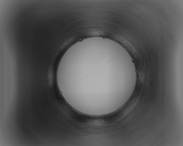 X0000101100304200807101453