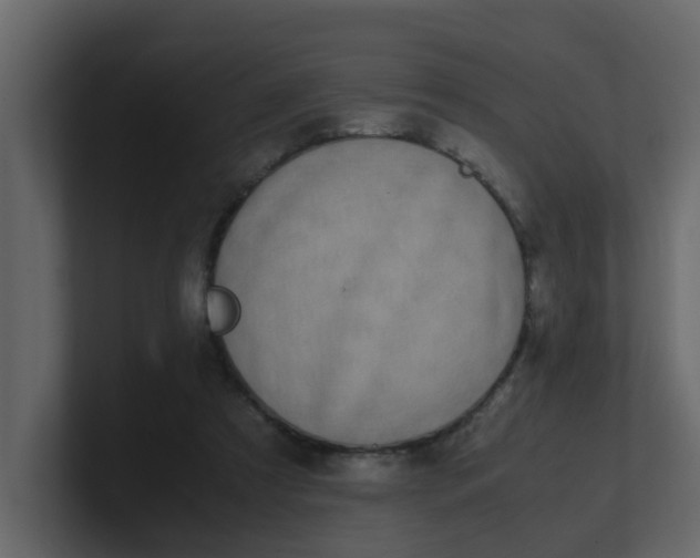 X0000101100305200807101453