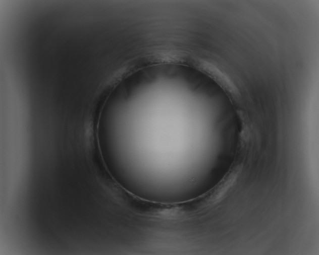 X0000101100306200807101453