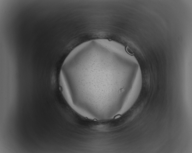 X0000101100312200807101453