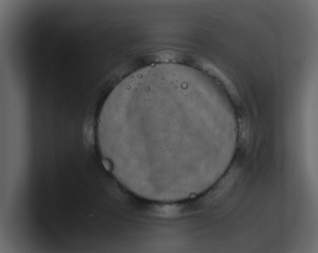 X0000101100313200807101453