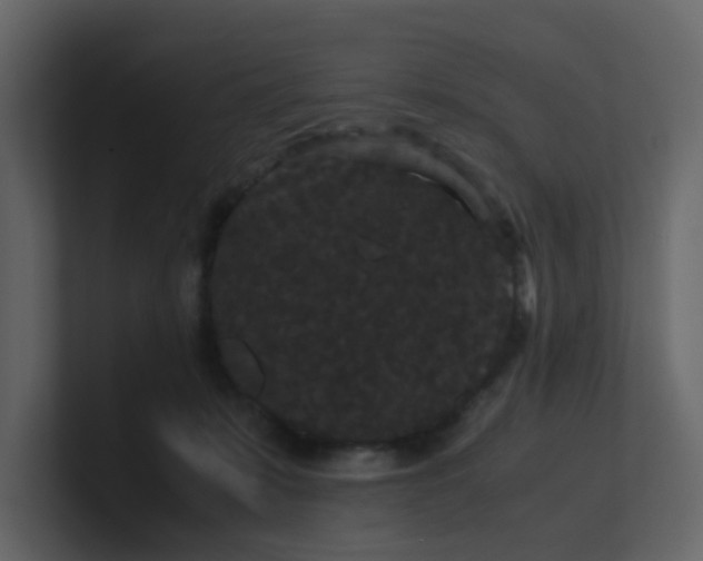 X0000101100319200807101453