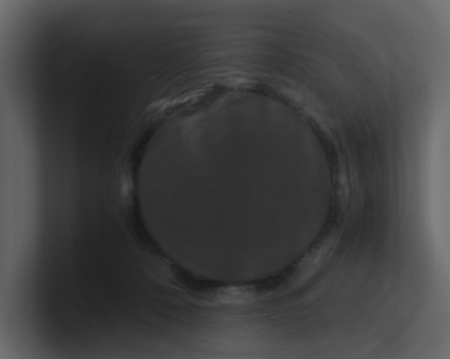 X0000101100320200807101453