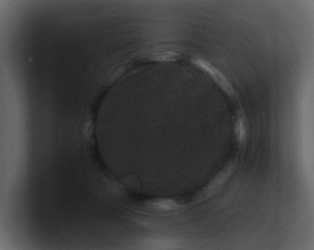 X0000101100322200807101453