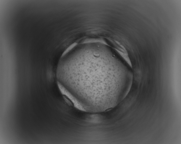 X0000101100324200807101453