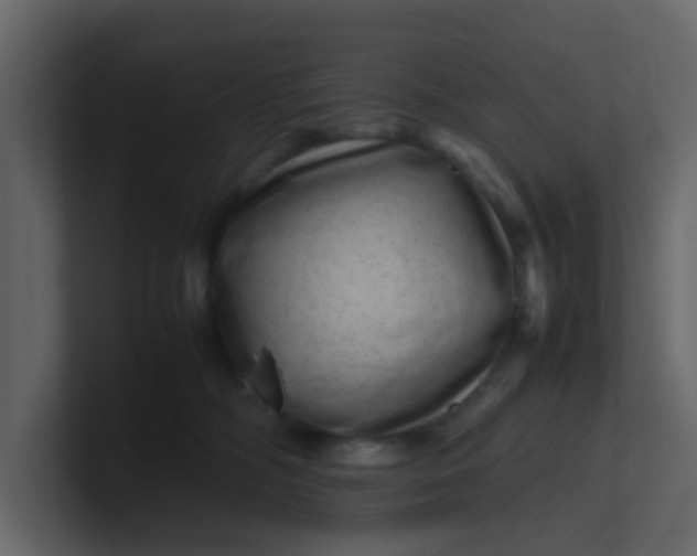 X0000101100326200807101453