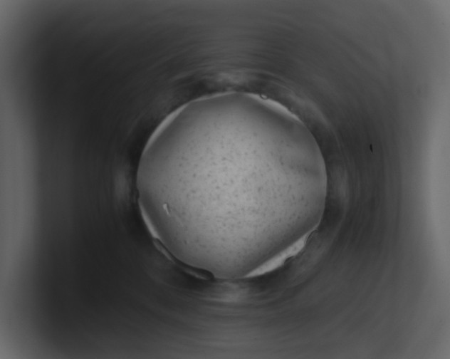 X0000101100328200807101453