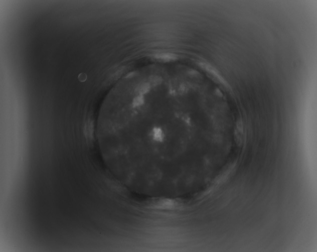 X0000101100330200807101452