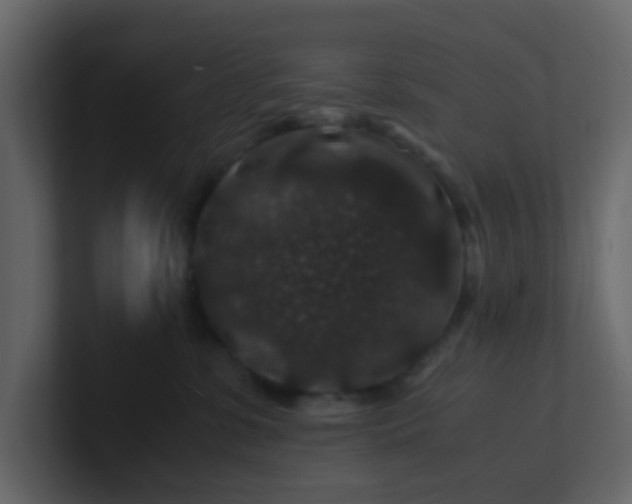 X0000101100331200807101452