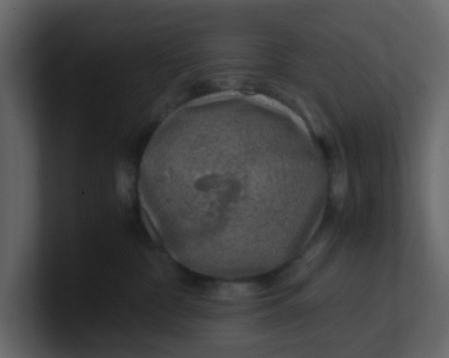 X0000101100332200807101452