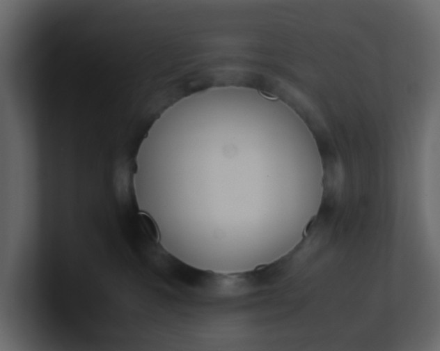 X0000101100333200807101452