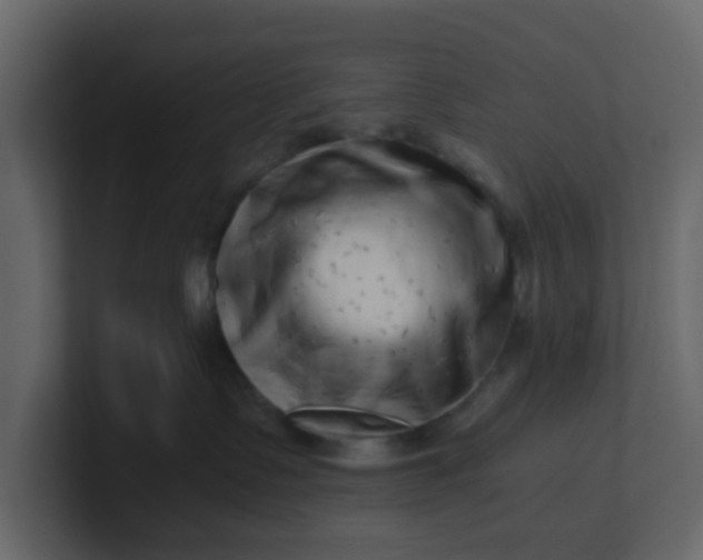 X0000101100335200807101452