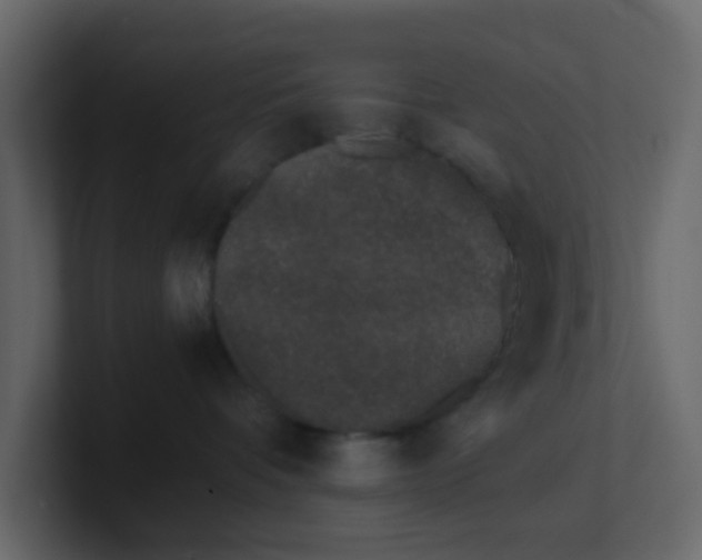 X0000101100336200807101452