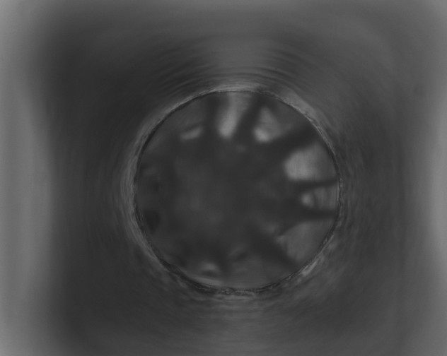 X0000101100337200807101452