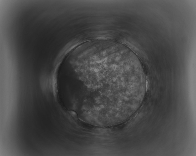 X0000101100339200807101452