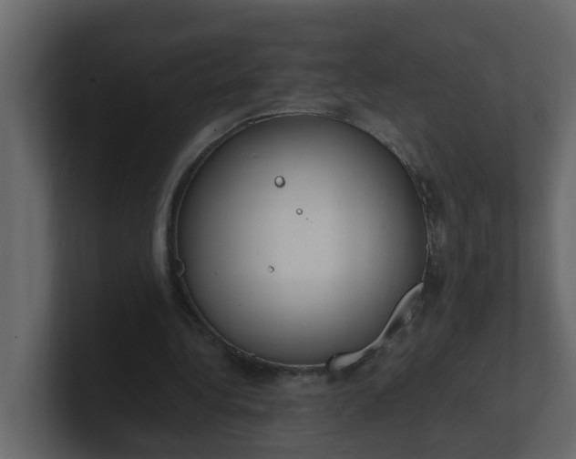 X0000101100340200807101452