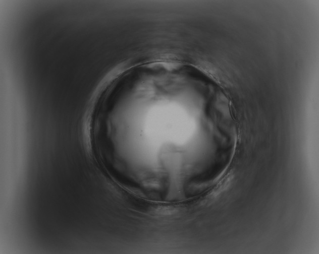 X0000101100341200807101452