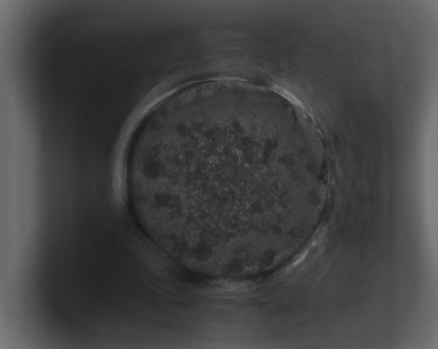 X0000101100343200807101452