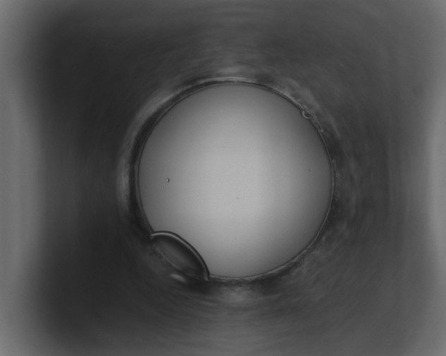 X0000101100344200807101452