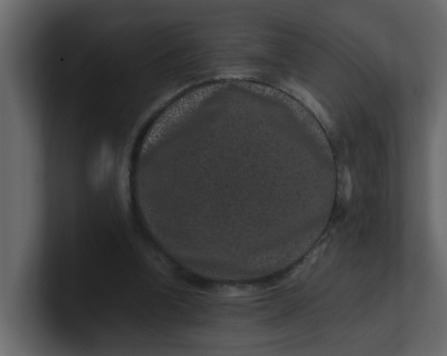 X0000101100346200807101452