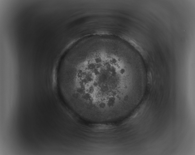 X0000101100347200807101452