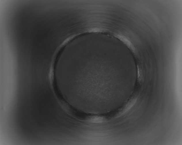 X0000101100348200807101452