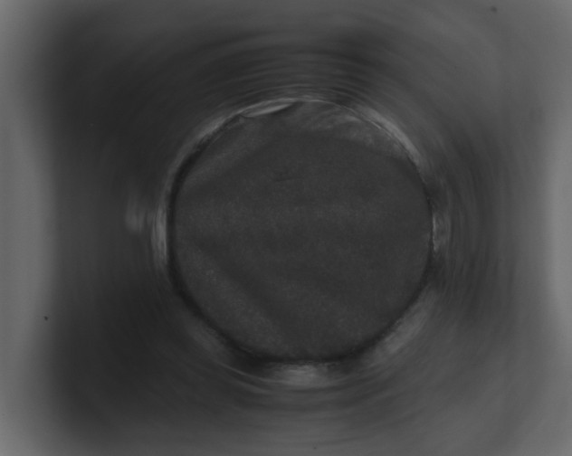 X0000101100349200807101452